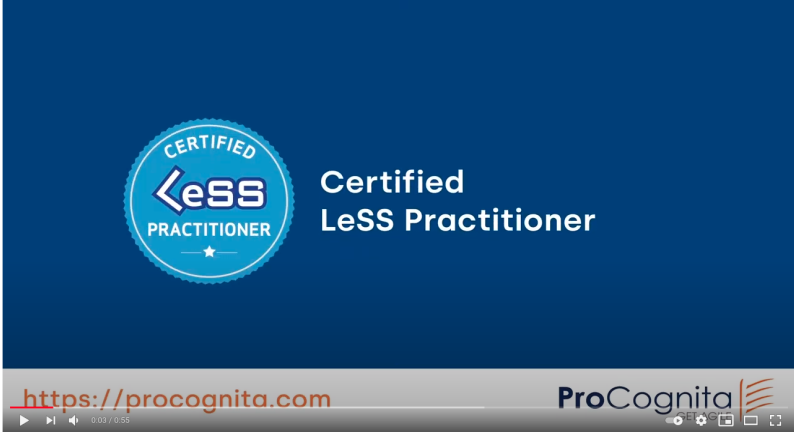 [Translate to English:] Certified LeSS Practitioner training 