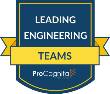 Leading Engineering Team